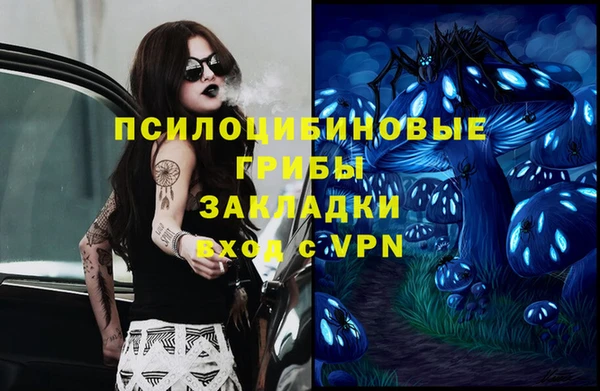 дживик Верхний Тагил