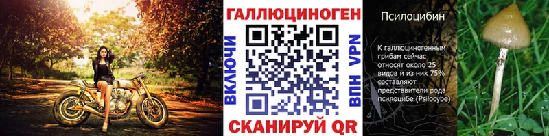 это официальный сайт Омск Псилоцибиновые грибы MAGIC MUSHROOMS